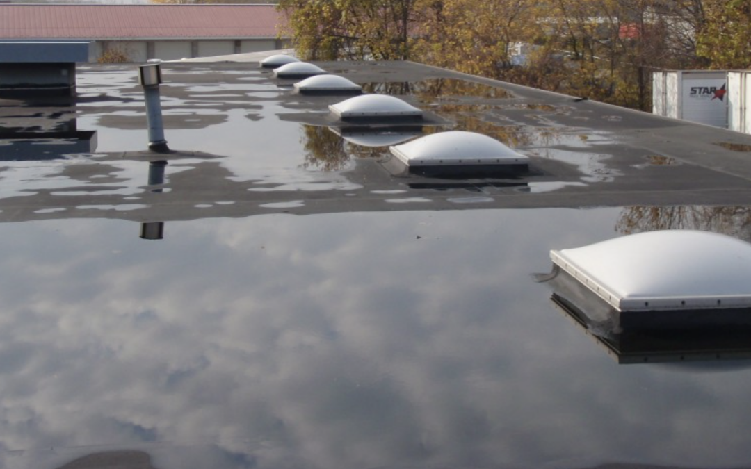 Commercial Roof with puddle of water