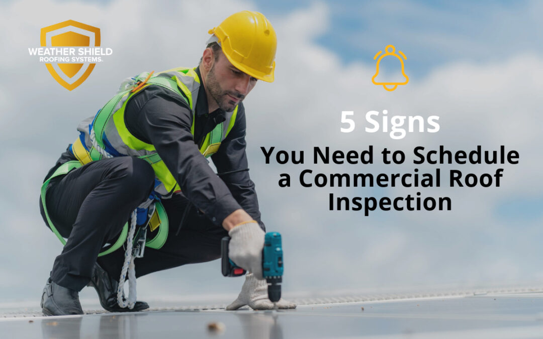 5 Signs You Need to Schedule a Commercial Roof Inspection