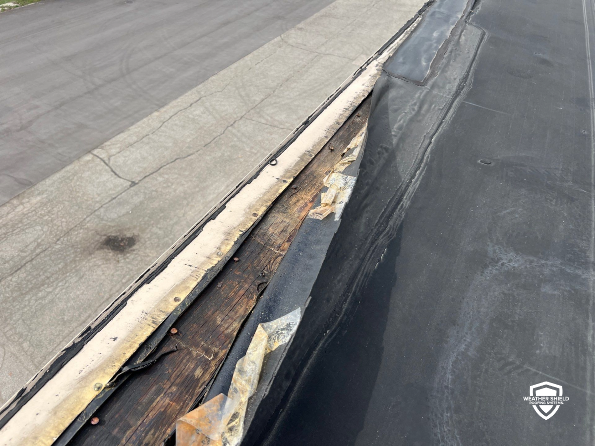 If Your Commercial Roof Could Talk-2 If Your Commercial Roof Could Talk