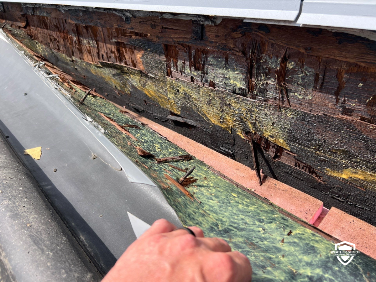 If Your Commercial Roof Could Talk If Your Commercial Roof Could Talk