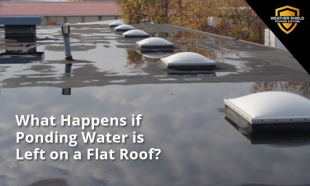 What Happens If Ponding Water Is Left on a Flat Roof? 