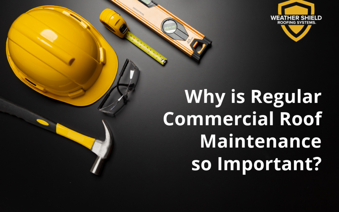 Why Is Regular Commercial Roof Maintenance So Important? 