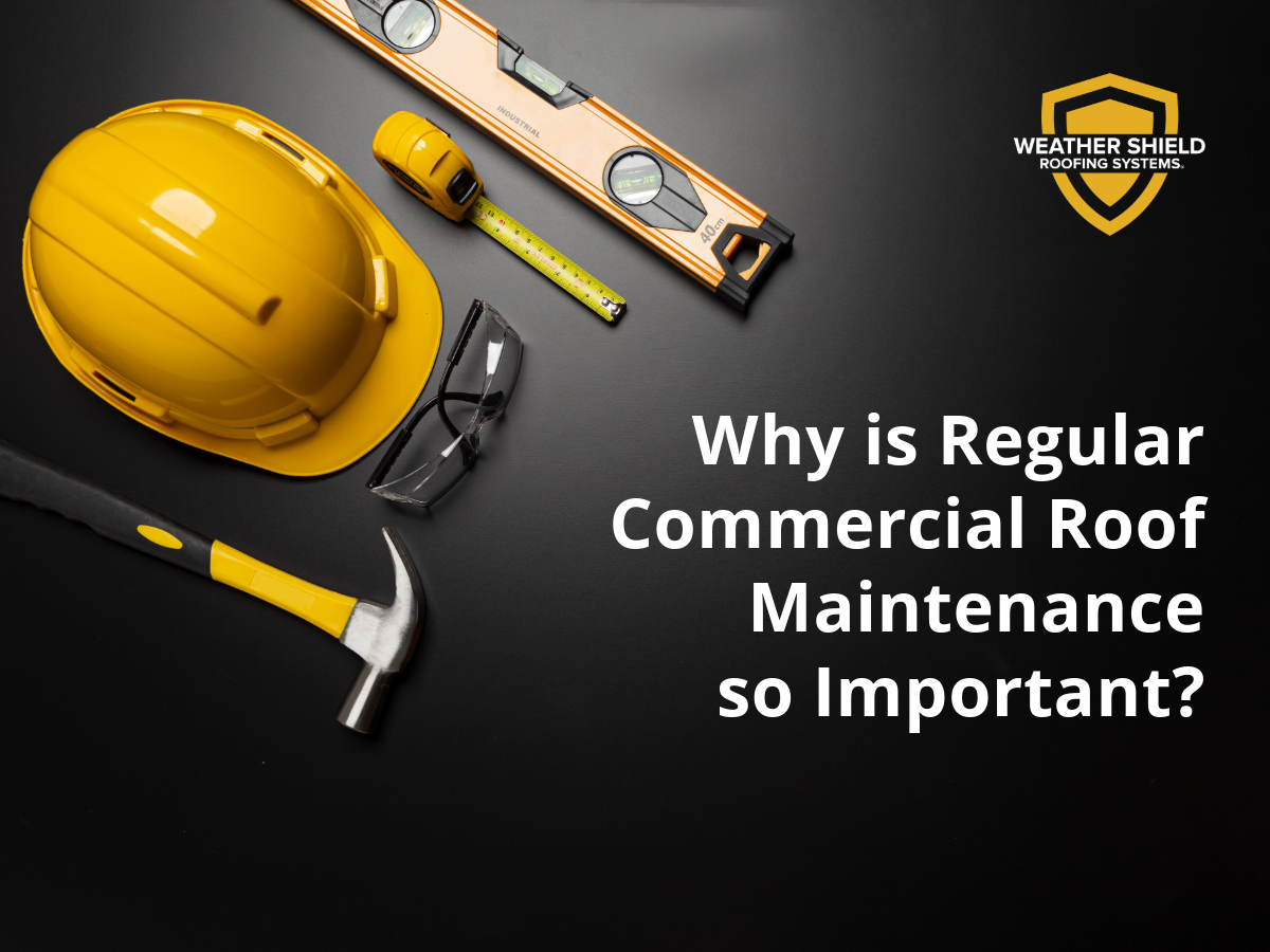 Why Is Regular Commercial Roof Maintenance So Important Why Is Regular Commercial Roof Maintenance So Important
