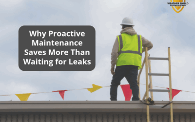Why Proactive Maintenance Saves More Than Waiting for Leaks