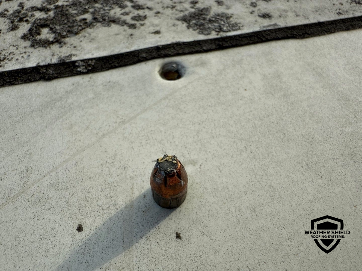Bullet Damage on a Commercial Roof Bullet Damage on a Commercial Roof