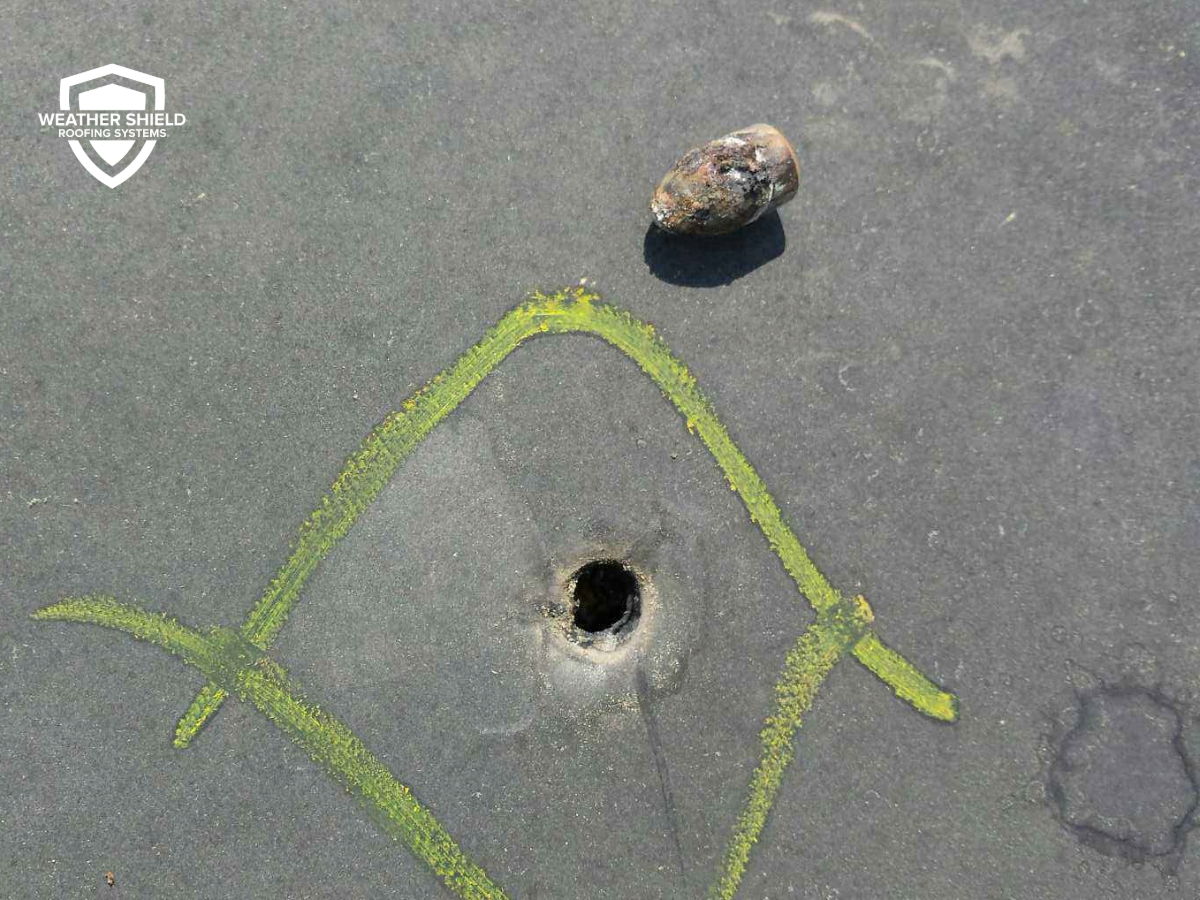 Bullet Damage on a Commercial Roof Bullet Damage on a Commercial Roof