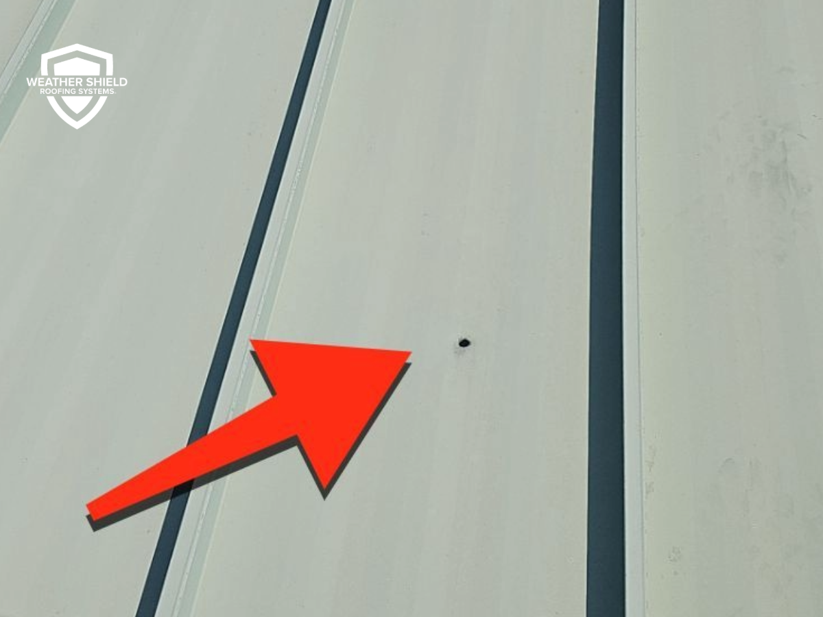 Bullet Damage on a Commercial Roof Bullet Damage on a Commercial Roof