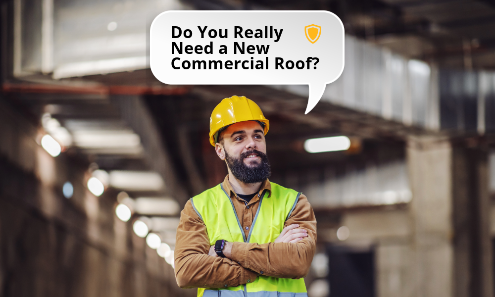 Do You Really Need a New Commercial Roof?