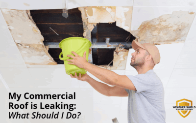 My Commercial Roof is Leaking: What Should I Do? 