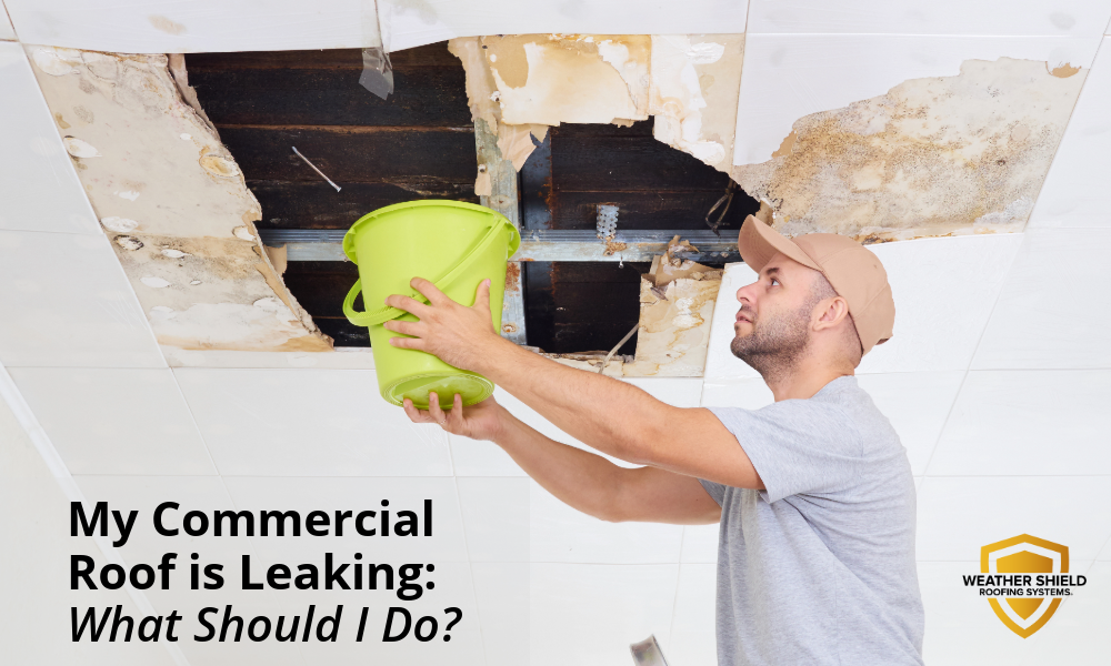 My Commercial Roof is Leaking: What Should I Do? 