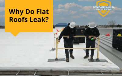 Why Do Flat Roofs Leak?