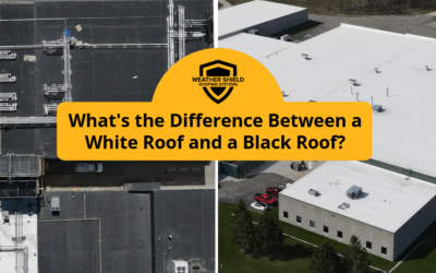 What’s the Difference Between a White Roof and a Black Roof?