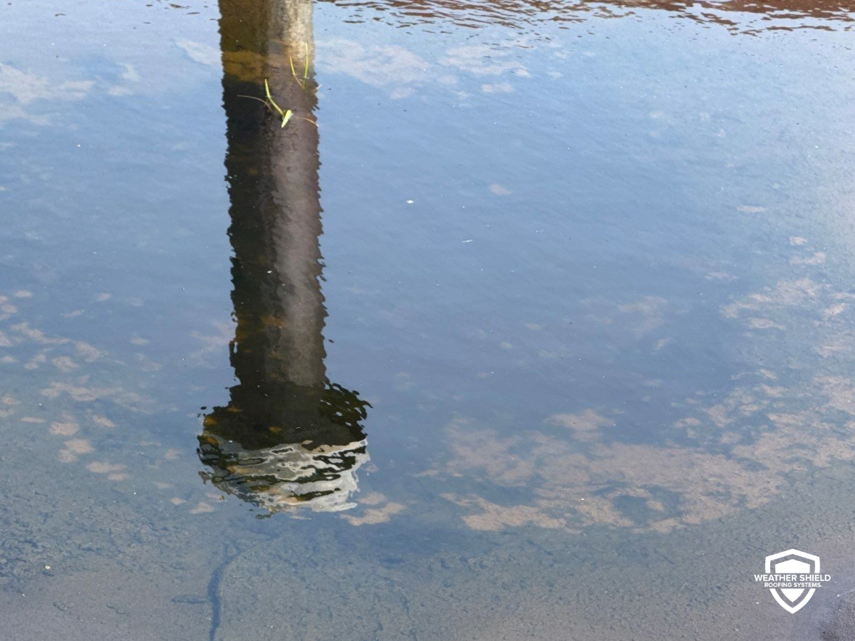 Ponding Water on a Flat Commercial Roof
