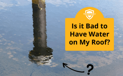 Is it Bad to Have Water on my Roof?