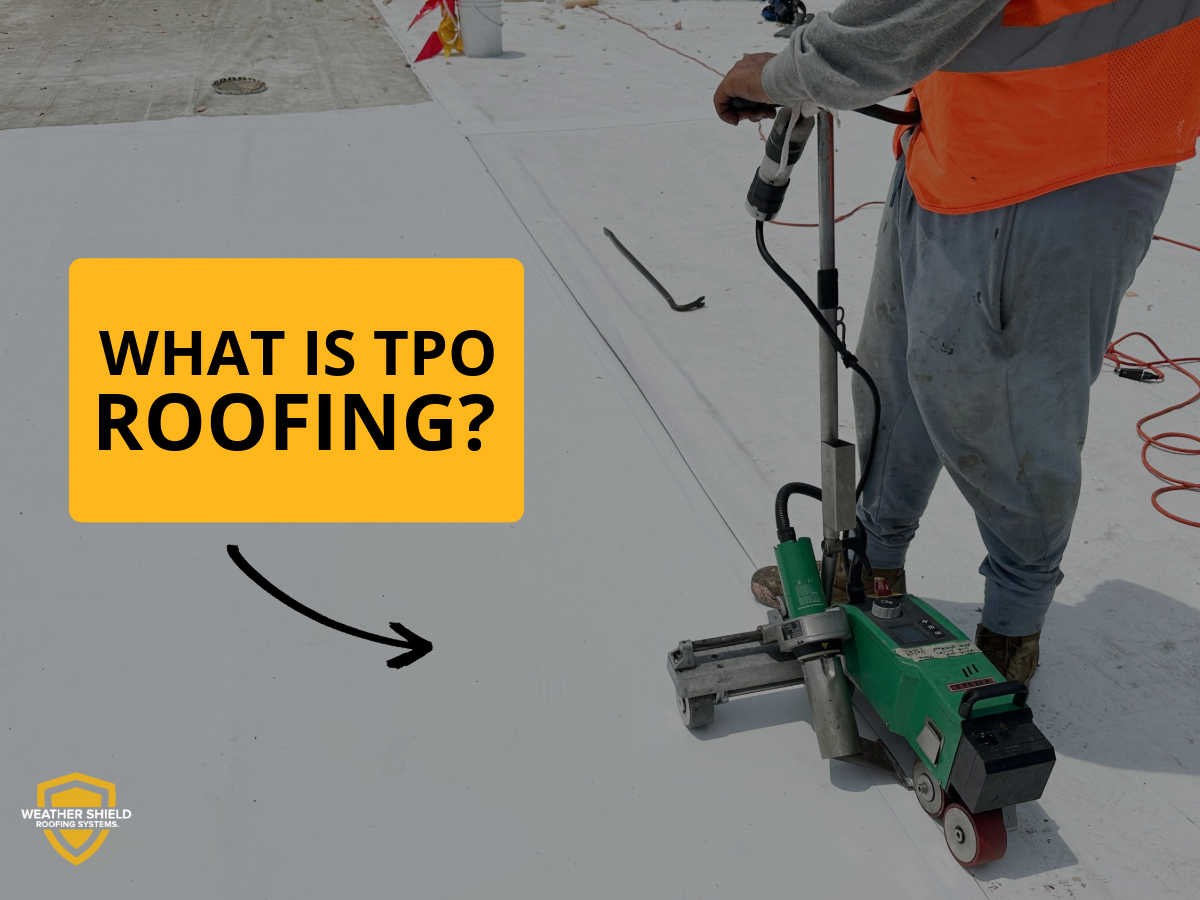 What Is TPO Roofing?