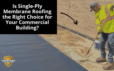 Is Single-Ply Membrane Roofing the Right Choice for Your Commercial Building?