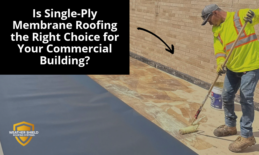 Is Single-Ply Membrane Roofing the Right Choice for Your Commercial Building?