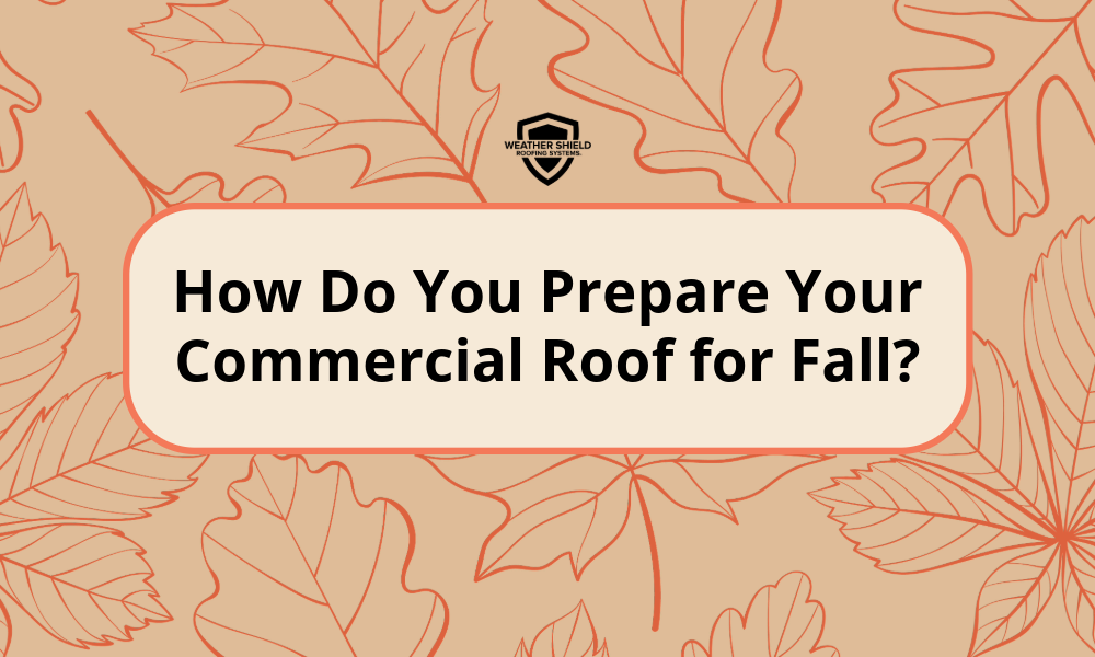 How Do You Prepare Your Commercial Roof for Fall?