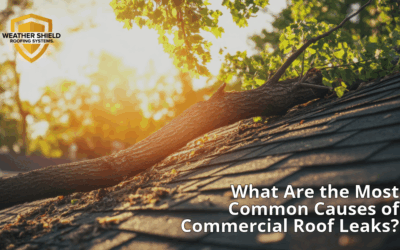 What Are the Most Common Causes of Commercial Roof Leaks?