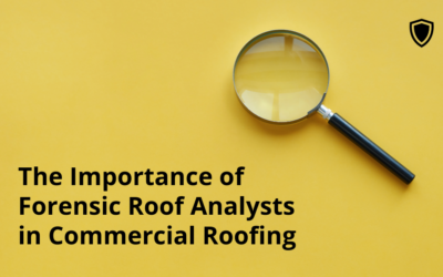 The Importance of Forensic Roof Analysts in Commercial Roofing 