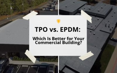 TPO vs. EPDM: Which Is Better for Your Commercial Building?