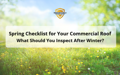 Spring Checklist for Your Commercial Roof: What Should You Inspect After Winter? 