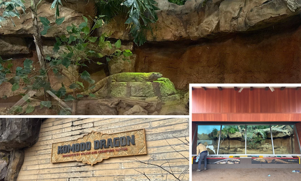 Commercial Roofing at the Nashville Zoo