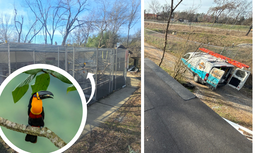 Commercial Roofing at the Nashville Zoo