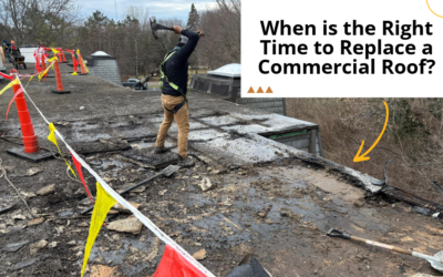 When Is the Right Time to Replace a Commercial Roof?