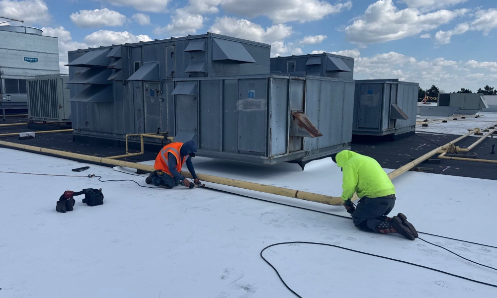 TPO Roofing Guide: Everything You Need to Know