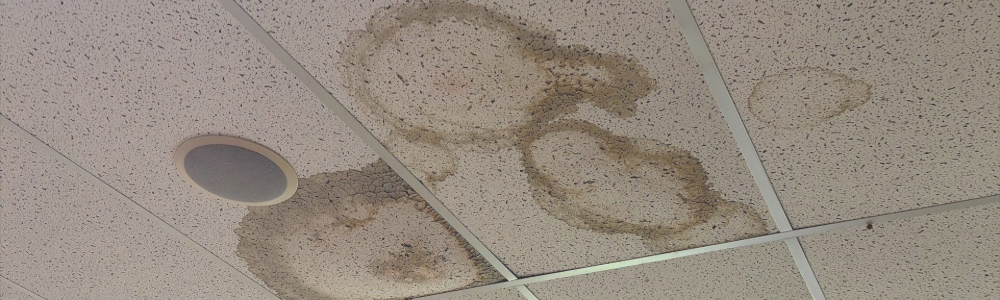 Treat Your Roof Like an Asset, Not a Liability