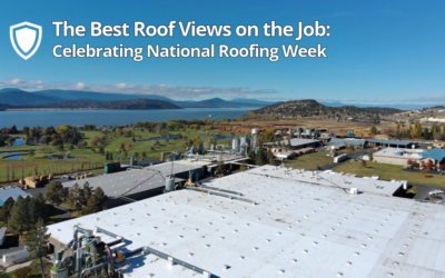 The Best Roof Views on the Job: Celebrating National Roofing Week