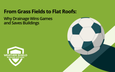 From Grass Fields to Flat Roofs: Why Drainage Wins Games and Saves Buildings 