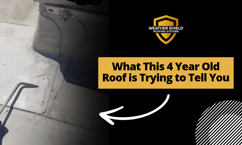 What This 4 Year Old Commercial Roof is Trying to Tell You 