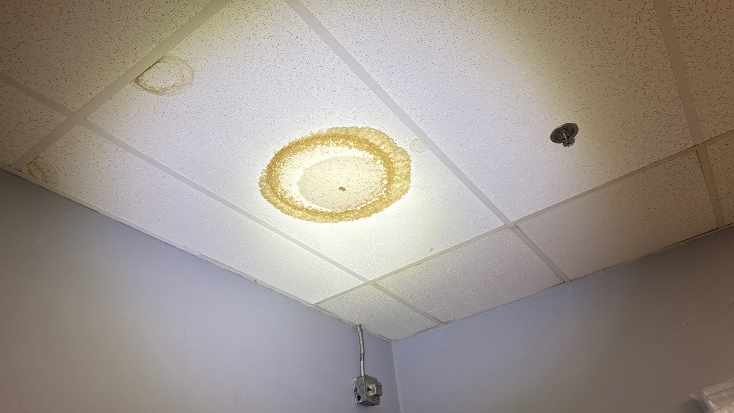 Wet interior ceiling tile