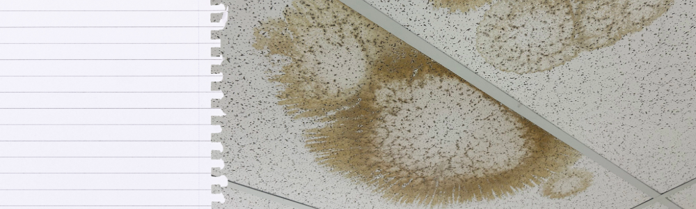 School Roof Repair: How Can Schools Stop Roof Leaks From Disrupting Classes?